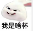 啊啊啊.png
